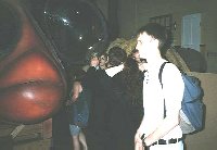Tollerant Mind in front of the Moth