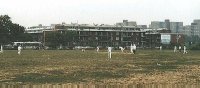 Cricket in Brooklyn